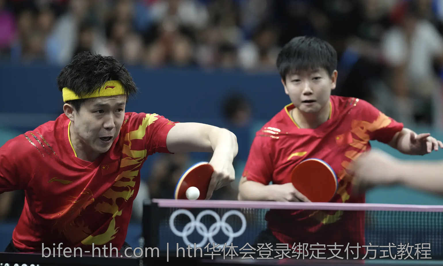 hth华体会登录绑定支付方式教程